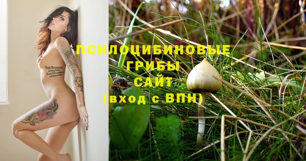 2c-b Бронницы