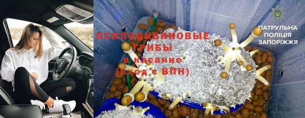 герыч Бородино