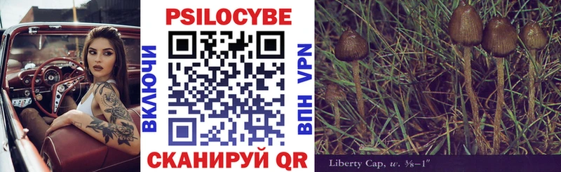 Галлюциногенные грибы Psilocybe  Сочи 