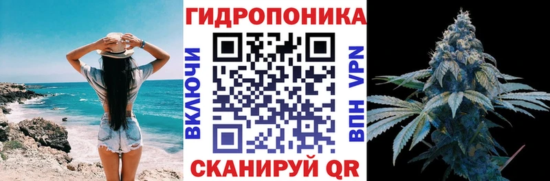 блэк спрут вход Сочи Каннабис план